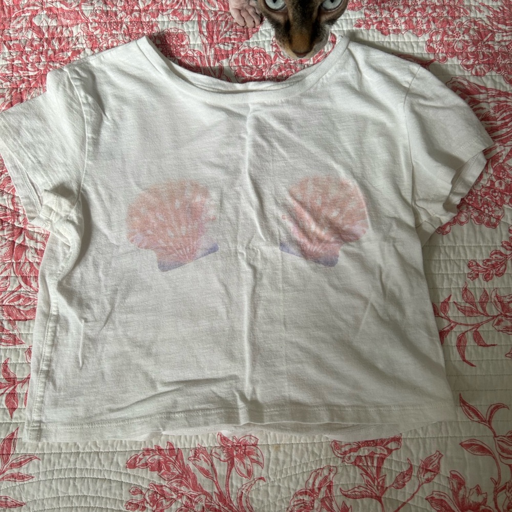 Aerie t shirt